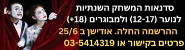 סדנאות שנתי