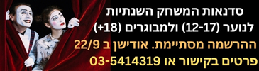 סדנאות שנתי